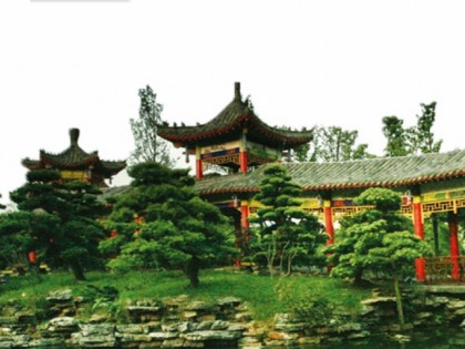 Фото: China Garden